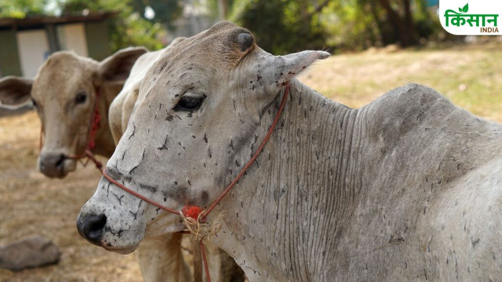 Bihar Government Vaccination