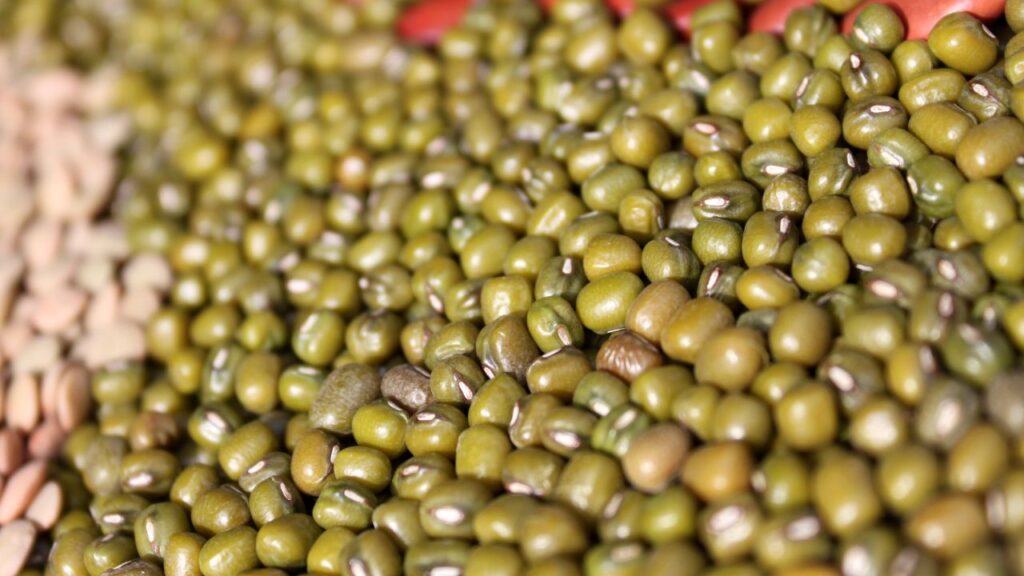 Urad MSP