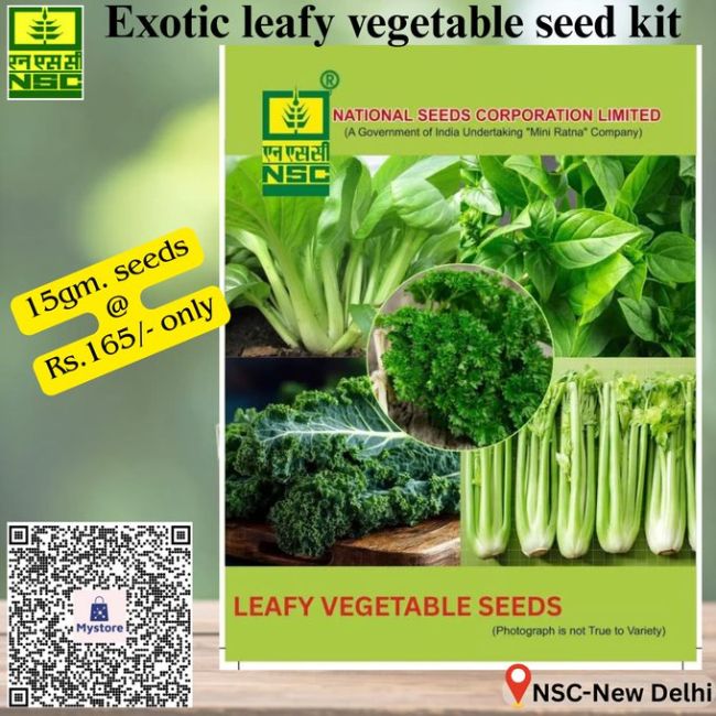 National Seed Corporation