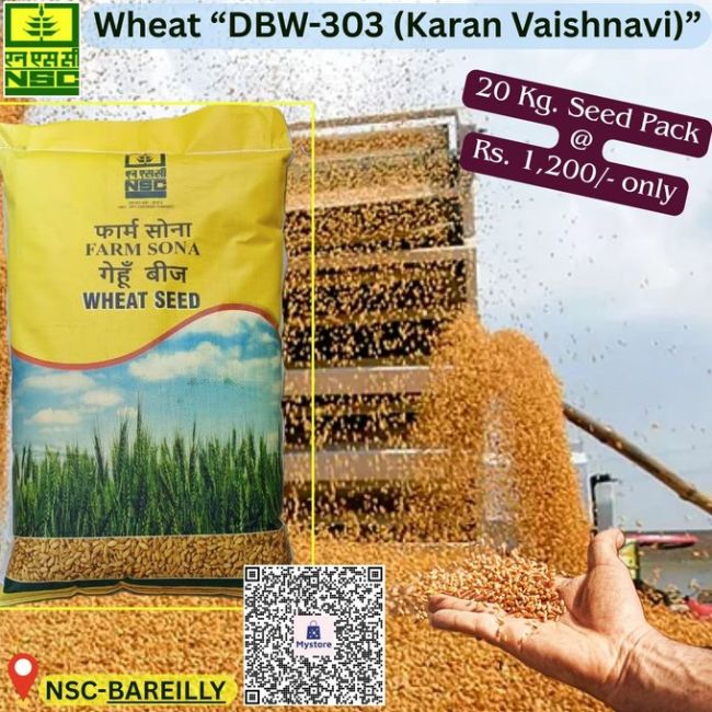 National Seed Corporation