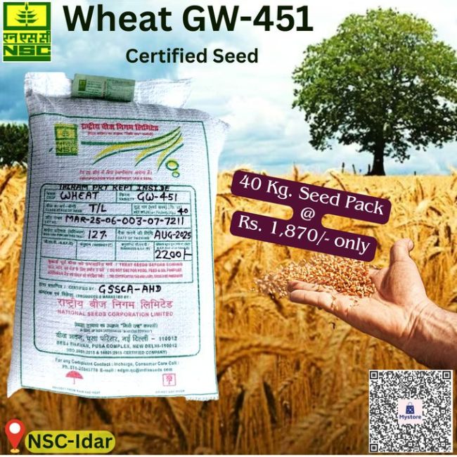 National Seed Corporation
