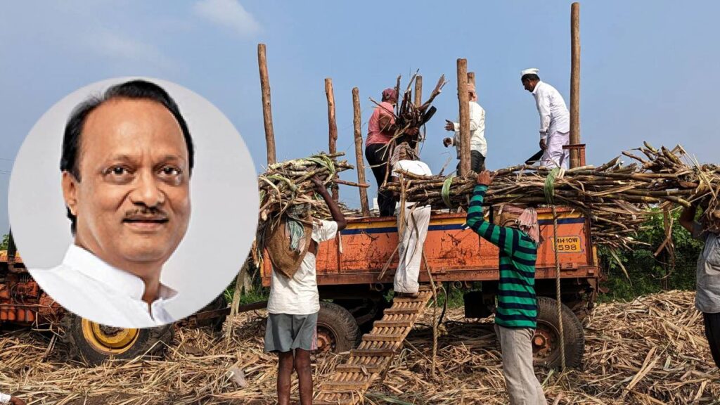 Maharashtra Sugar Mills to Pay FRP Based on Current Season’s Cane Recovery; Farmers Welcome Move, Millers Demand Higher MSP to Ensure Timely Payments