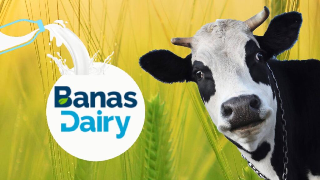 Banas Dairy Launches Innovative Cow-Urine Collection Program to Boost Farmer Income and Promote Organic Farming in Gujarat