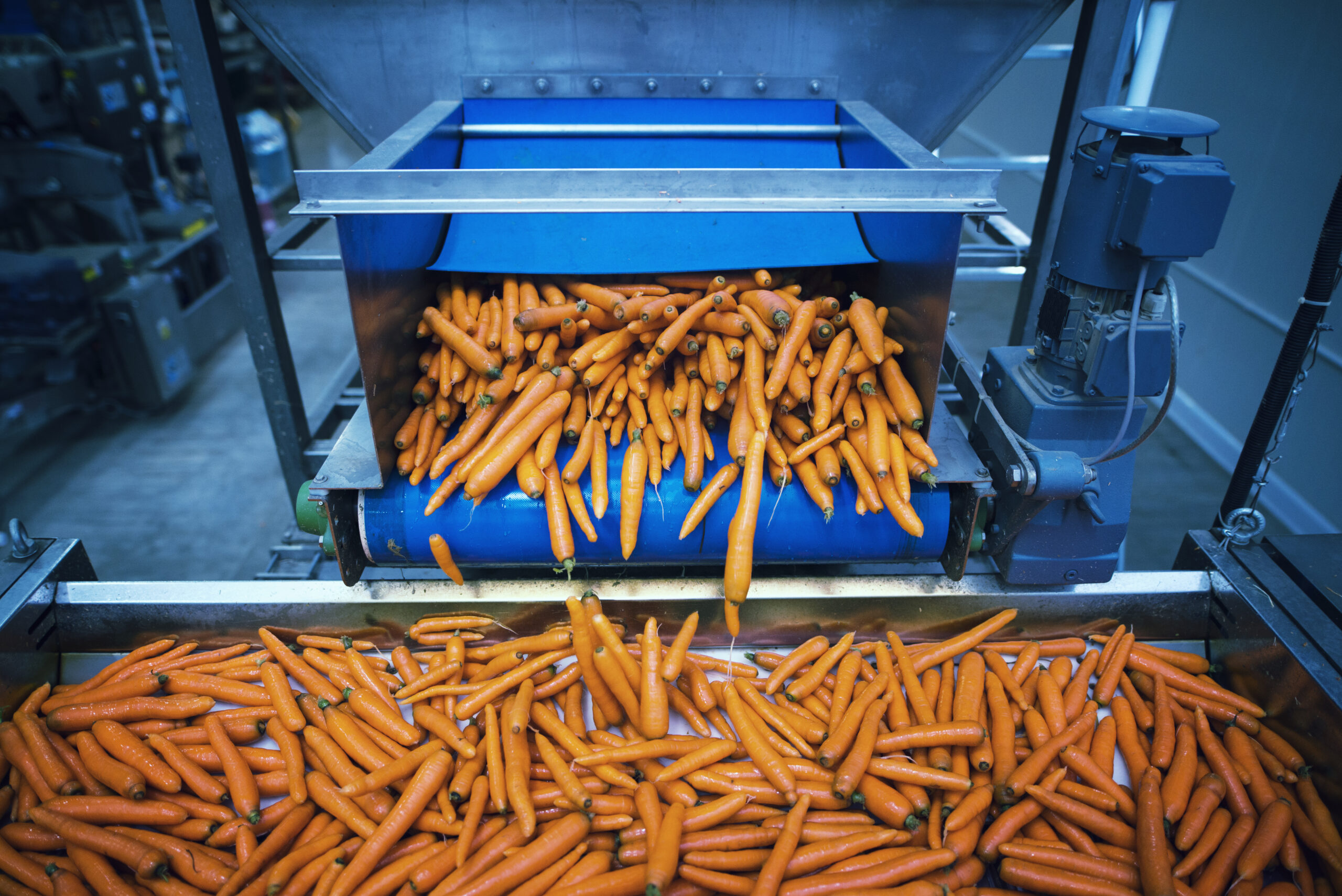 Conveyor Is A Reliable Tool Of Industry And Agriculture Now Transporting Goods From One Place To Another Has Become Even Easier