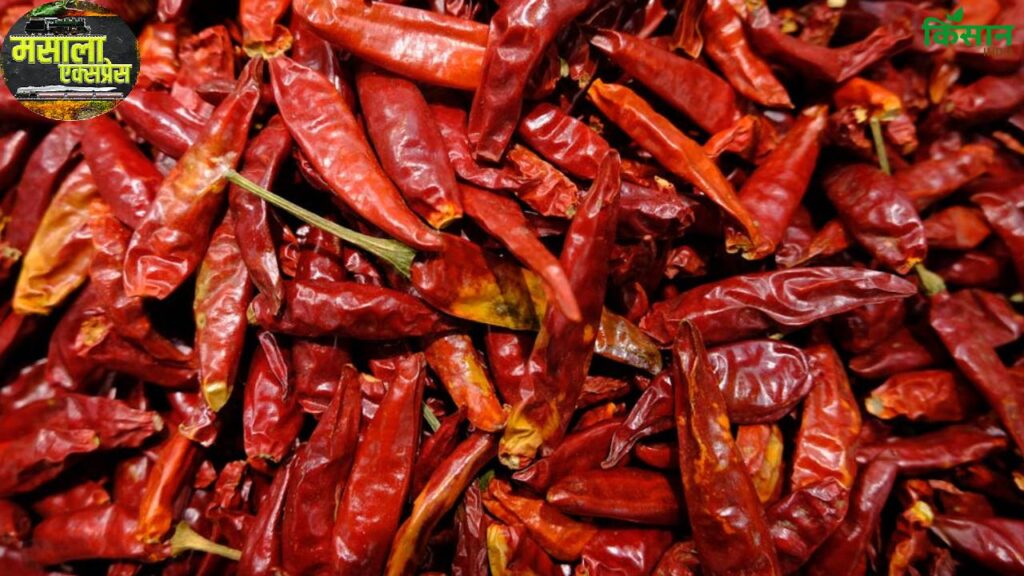 US Tariffs Threaten India’s Paprika Export: Danger of Anti-Dumping and Countervailing Duty on Spices