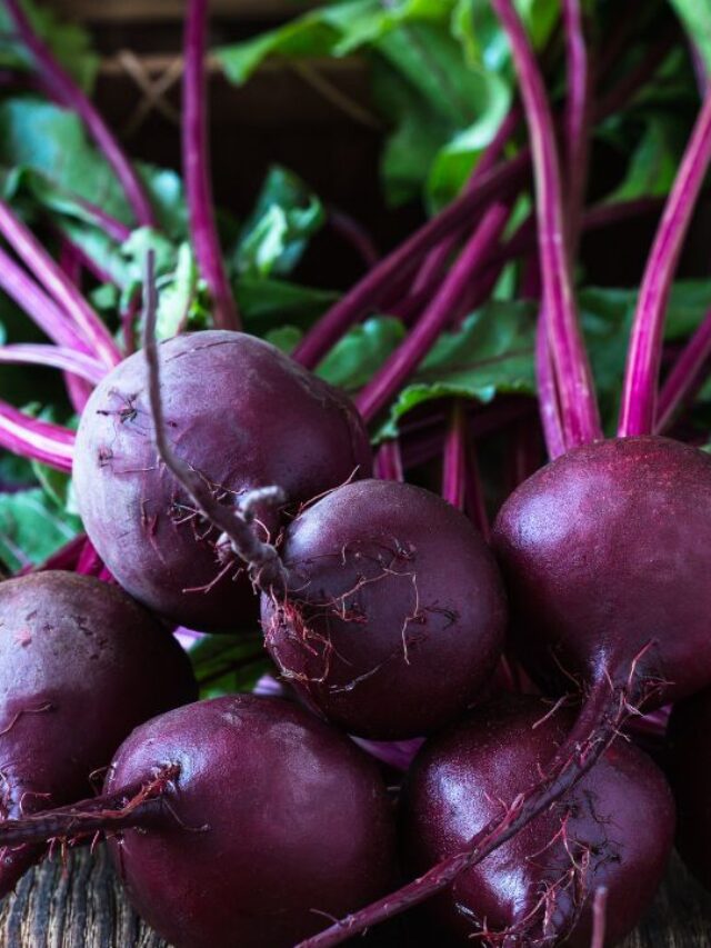 सर्दी के मौसम में नमक के साथ खाएं भुना हुआ चुकंदर, होंगे गजब के फायदें