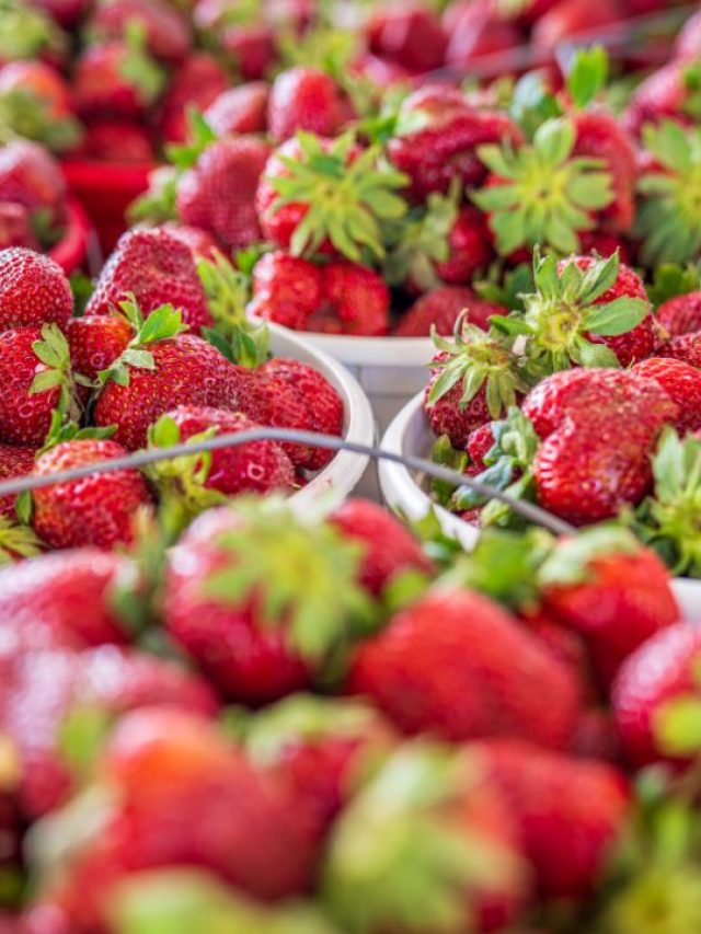 डाइट में ऐड करें बस ये एक फल, सेहत खुद बोलेगी थैंक यू!