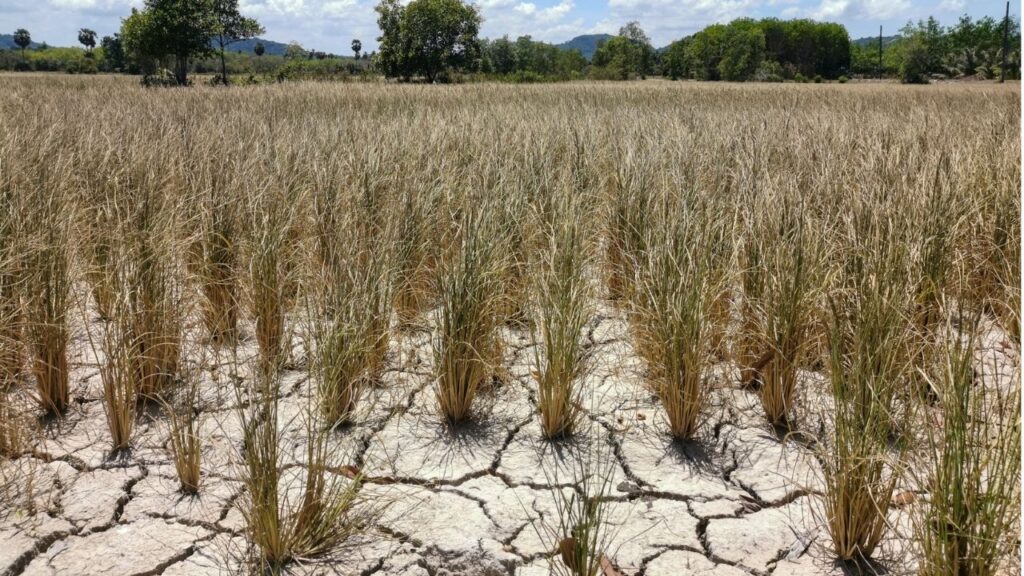 Monsoon Rain Deficit