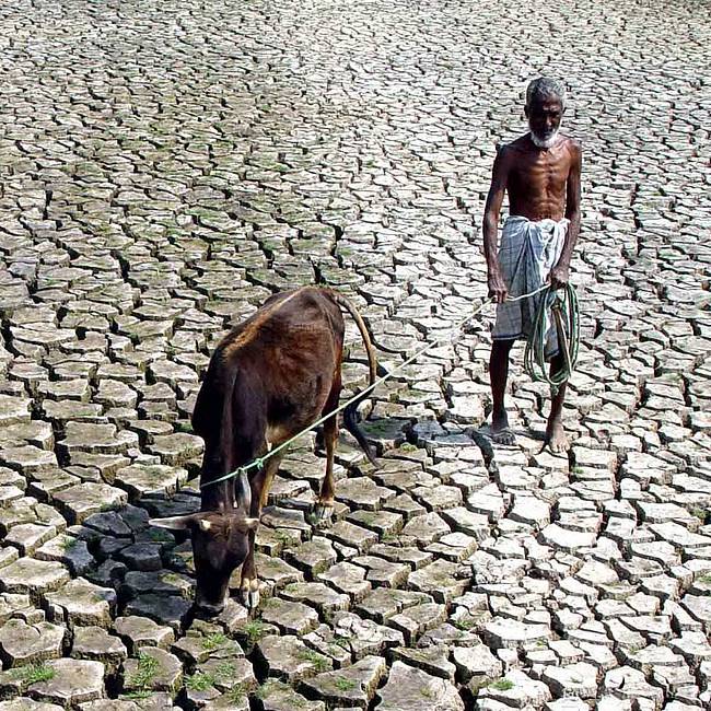 What Would Happen If Farmers Stopped Farming?