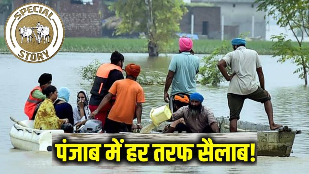 Punjab Floods: A Tragic Timeline of Disasters From 1955 to 2025