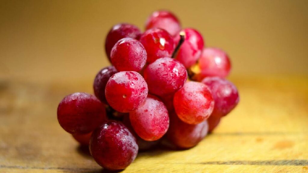 Profitable Red Grape Cultivation in India: Step-by-Step Guide to Growing, Caring, and Earning from High-Demand Grapes