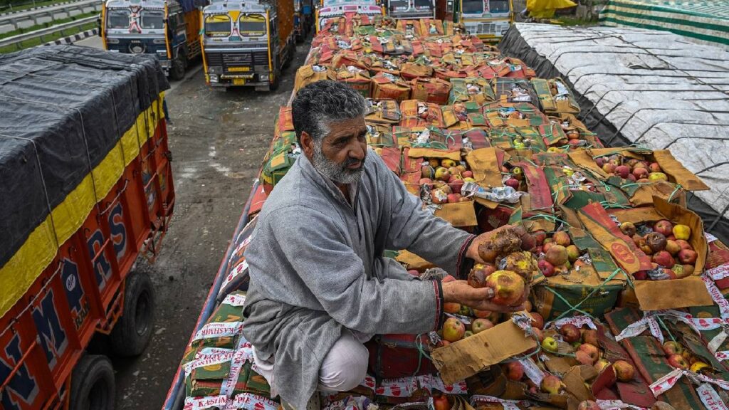 Kashmir Fruit Mandis Shut Amid Highway Closures, Apple Farmers Report ₹750 Crore Loss; CM Omar Abdullah Criticizes Centre