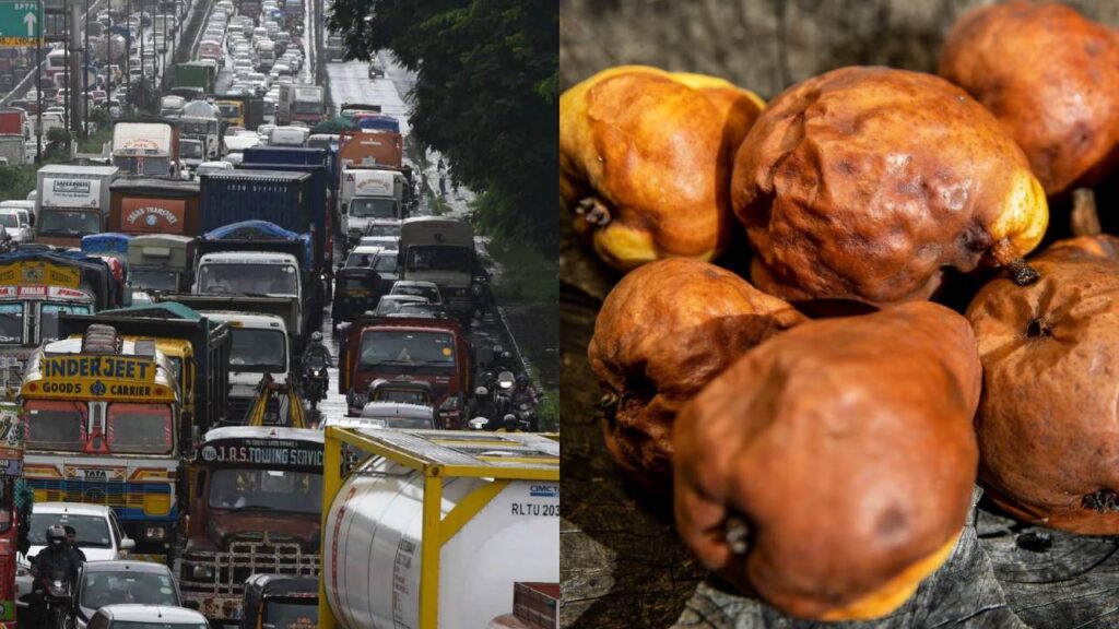 Kashmir’s Apple and Pear Trade Hit Hard as Jammu-Srinagar Highway Stays Shut for 17 Days; Farmers Face ₹200-250 Crore Loss, Rail Cargo Offers Hope