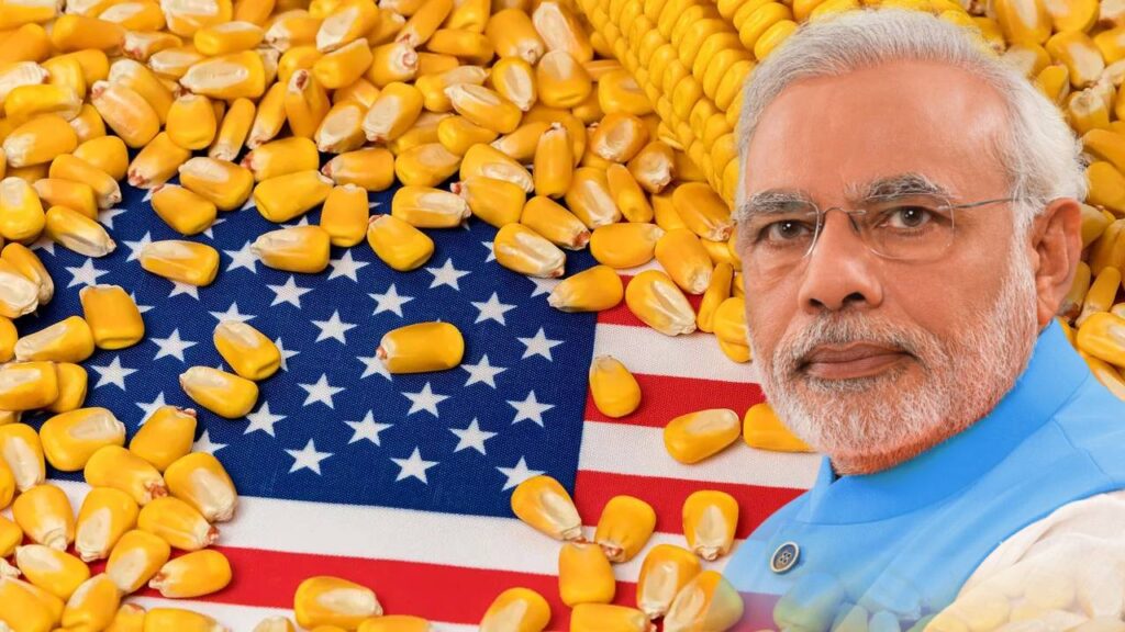 Why India Is Not Importing Corn from the U.S. | Ethanol and Agricultural Security Explained