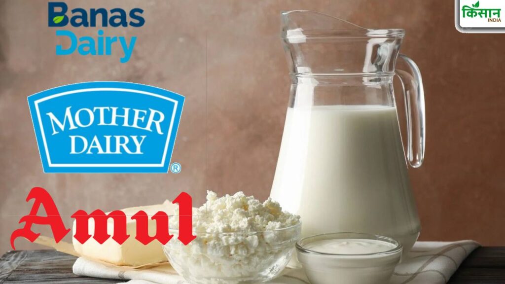 NDDB Begins Indigenous Production of Starter Cultures: Amul, Banas and Mother Dairy Among First Beneficiaries