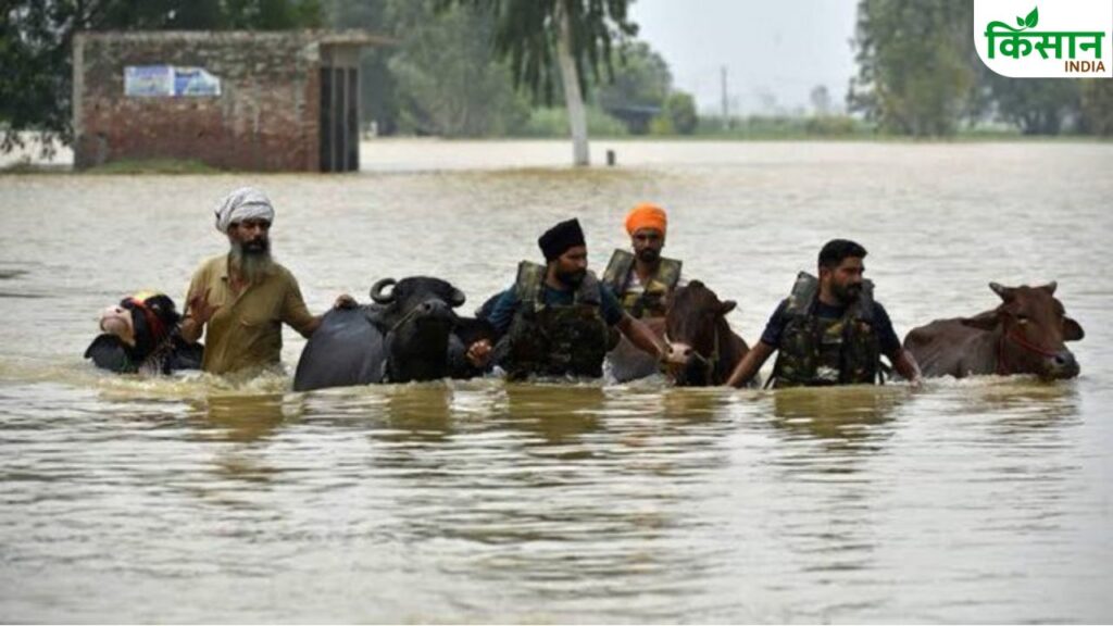 Punjab Flood