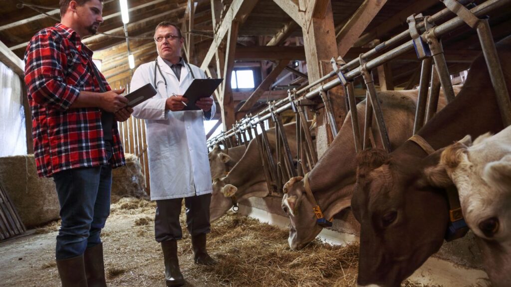 Livestock Healthcare