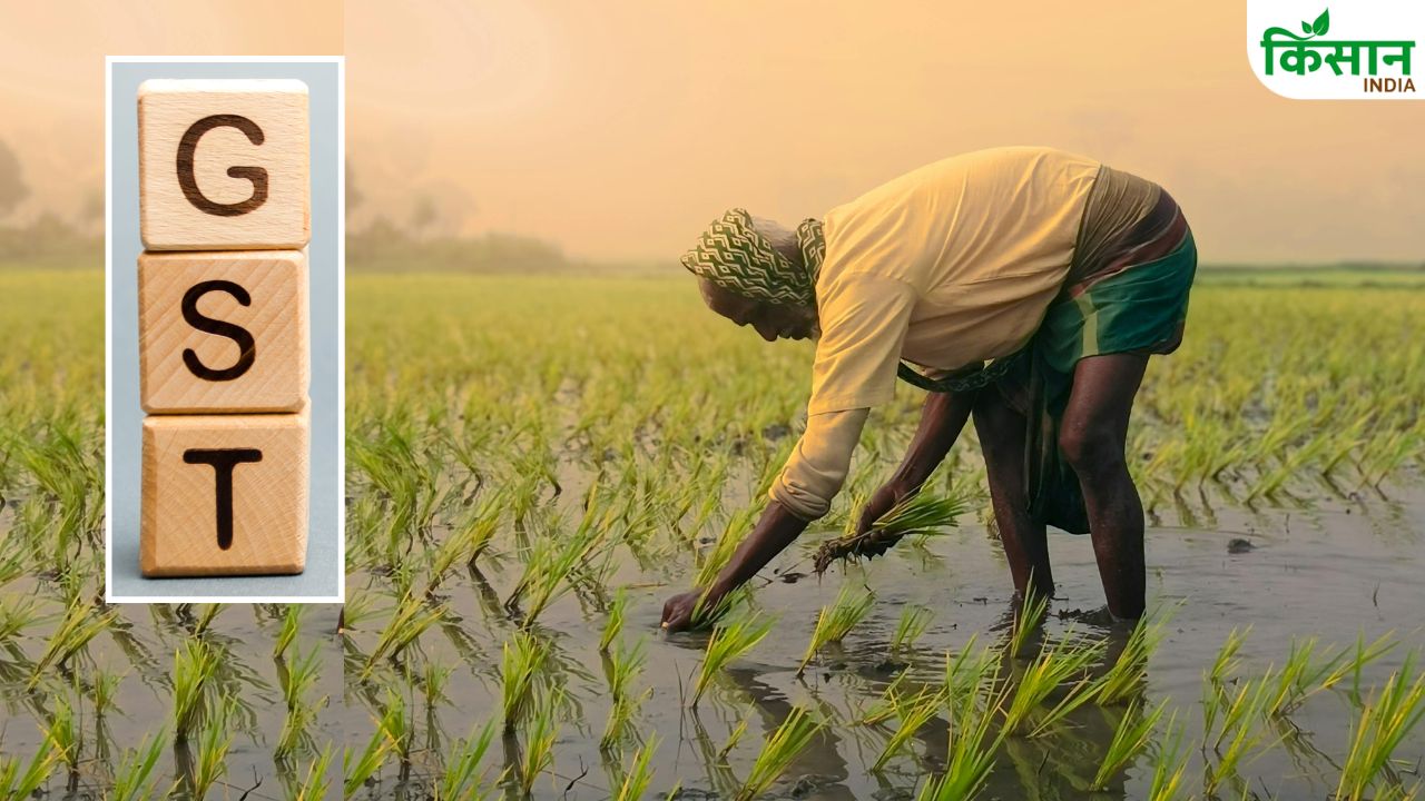 जीएसटी रिफॉर्म से घटेगा किसानों का बोझ, केंद्रीय कृषि मंत्री ने जारी की लिस्ट जीएसटी रिफॉर्म से घटेगा किसानों का बोझ, केंद्रीय कृषि मंत्री ने जारी की लिस्ट