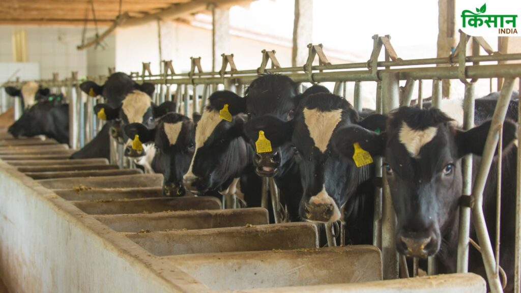 Milk Production