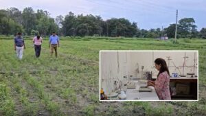 1400 रुपये में बिकता है तेल.. मेंथा की खेती से करोड़पति बनेंगे किसान, कृषि वैज्ञानिकों ने नई तकनीक विकसित की 1400 रुपये में बिकता है तेल.. मेंथा की खेती से करोड़पति बनेंगे किसान, कृषि वैज्ञानिकों ने नई तकनीक विकसित की