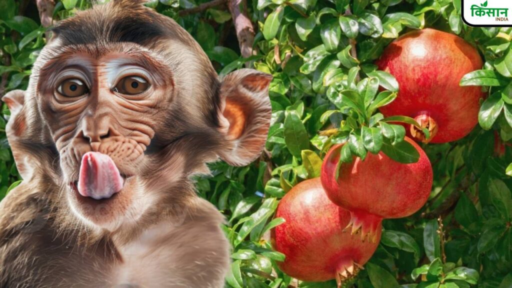 How to Protect Your Garden and Plants from Monkeys: Effective Tips and Strategies