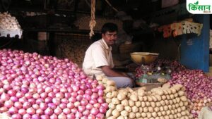 Mandi Bhav: प्याज के रेट में जबरदस्त उछाल, लासलगांव मंडी में 2200 रुपये क्विंटल हुआ रेट