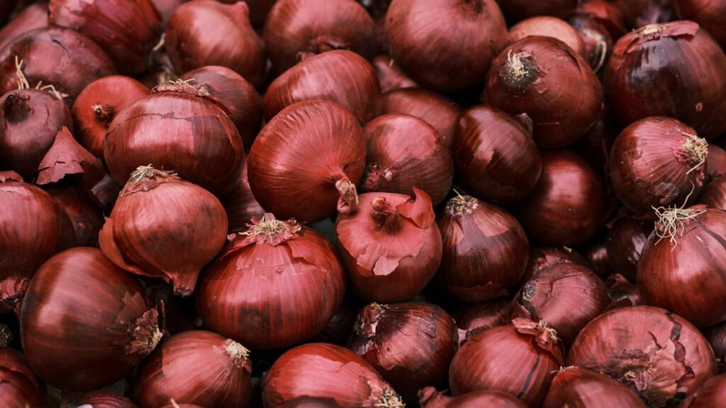 onion price fall