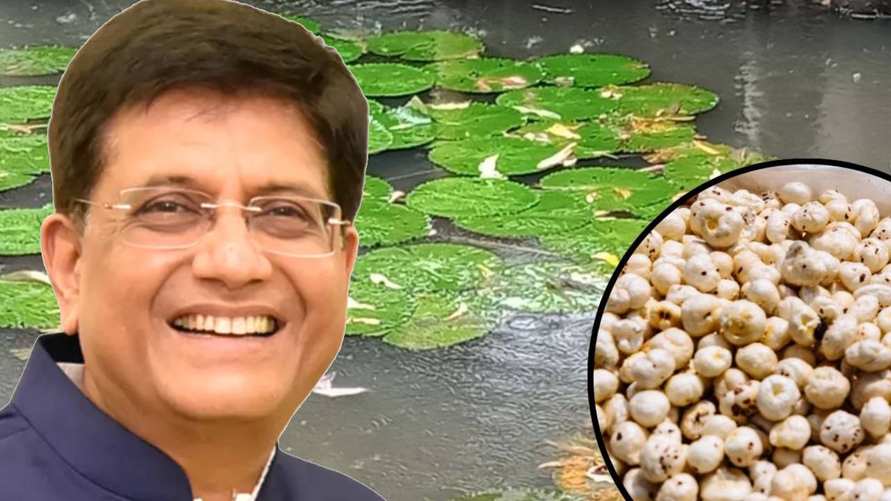 अब विदेशों में भी चमकेगा बिहार का ब्रांड, पटना में खुला APEDA का पहला क्षेत्रीय कार्यालय अब विदेशों में भी चमकेगा बिहार का ब्रांड, पटना में खुला APEDA का पहला क्षेत्रीय कार्यालय