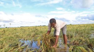 बाढ़ पीड़ित किसानों के मुआवजे का मुद्दा गरमाया, किसान संगठनों ने आरपार की लड़ाई का ऐलान किया
