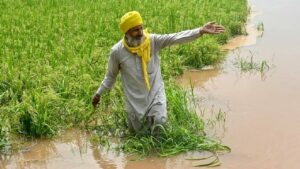 सात लाख से ज्यादा किसानों के खाते में पहुंचे 1700 करोड़, फसल नुकसान का मुआवजा जारी