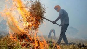 5 साल में पराली जलाने से मुक्त हो जाएगा हरियाणा, 200 करोड़ खर्च कर प्रदूषण से मिलेगा छुटकारा, सीएम ने बताया प्लान