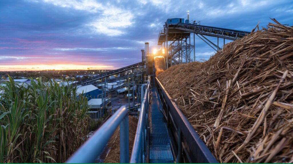 sustainable aviation fuel from sugarcane
