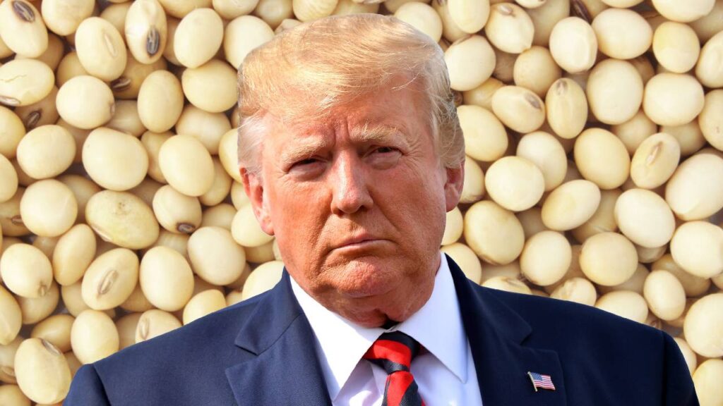 US Imposes Over 290% Duty on Indian Soymeal, Exporters Face Major Setback