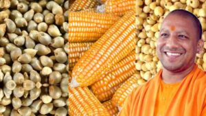 यूपी में 1 अक्टूबर से शुरू होगी मोटे अनाज की खरीद, जानिए किन फसलों पर मिलेगा कितना MSP?