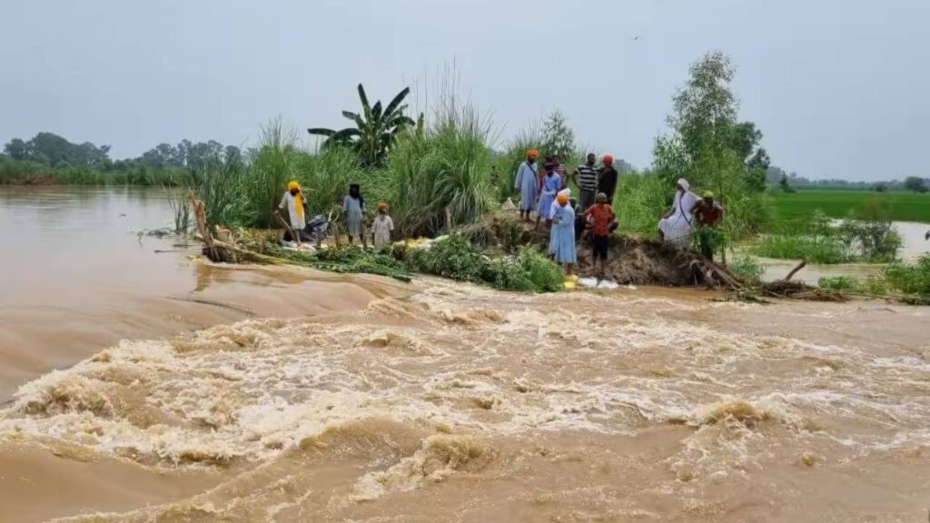 Monsoon Havoc in North India: Heavy Rain and Floods from Delhi to Kashmir, IMD Issues Fresh Alert