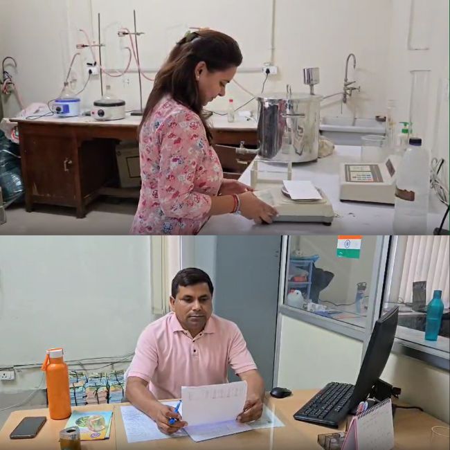 mint technology for Mentha farming