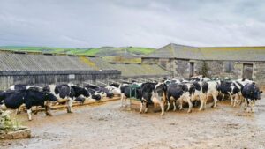 डेयरी व्यवसाय में सफलता के लिए ये मशीनें और उपकरण बेहद जरूरी, पढ़ें डिटेल्स