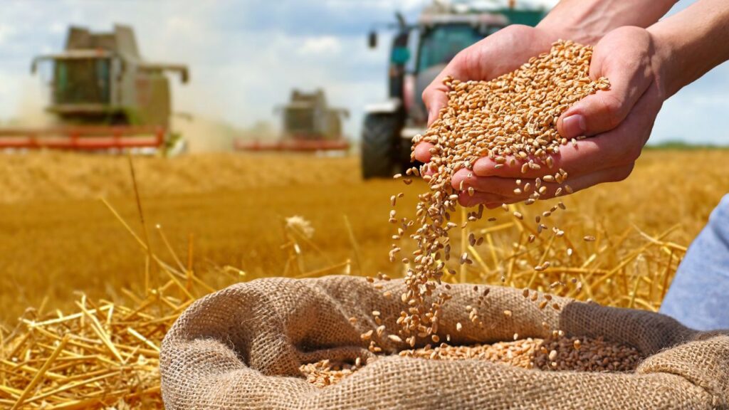 Agri infra