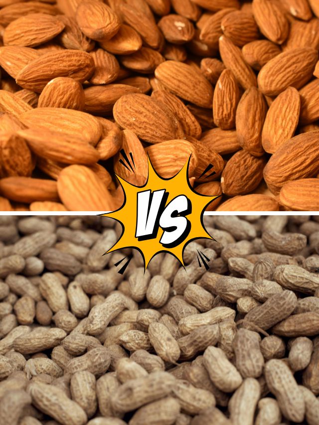 मूंगफली या बादाम? जानें कौन है असली प्रोटीन का बादशाह!
