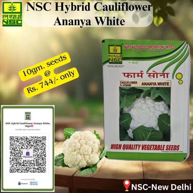 National Seeds Corporation