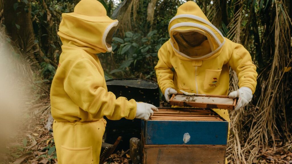 Beekeeping