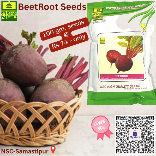 National Seed Corporation