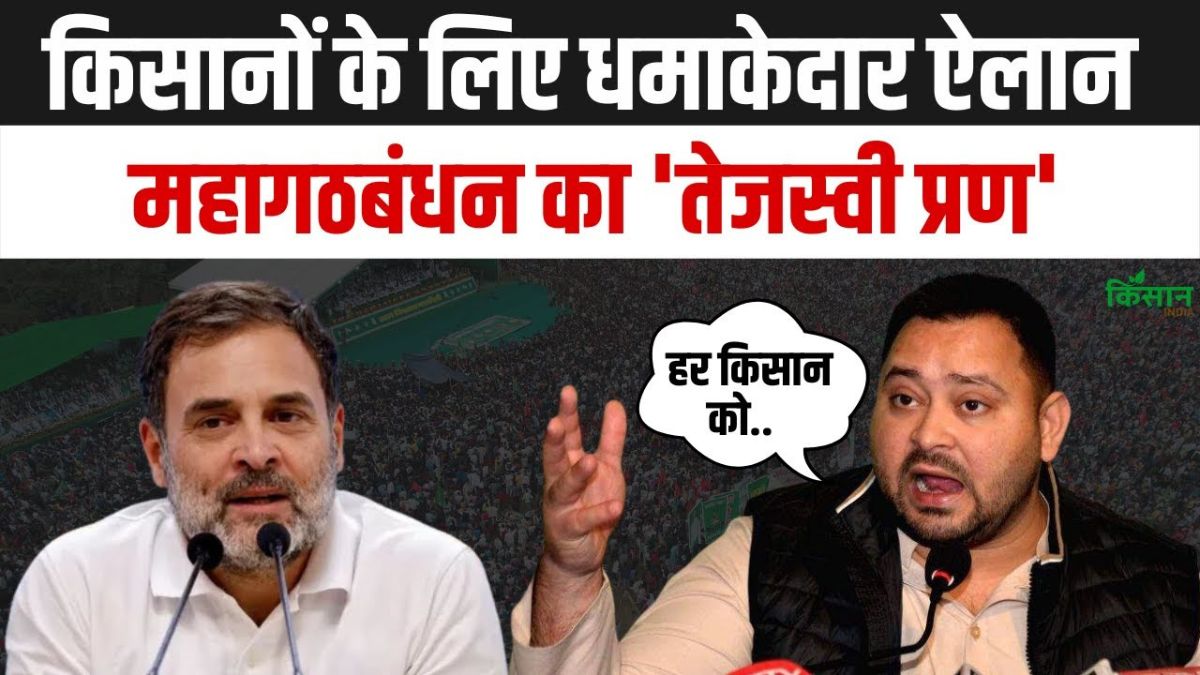 Bihar Election Rahul Gandhi Attacks The Central Government In Muzaffarpur