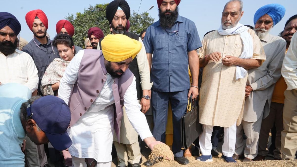 क्या धान खरीद मानकों में मिलने वाली है राहत? CM भगवंत मान ने केंद्र से की ये खास अपील Punjab Paddy Procurement Paddy Procurement Standards Cm Bhagwant Mann Agriculture News