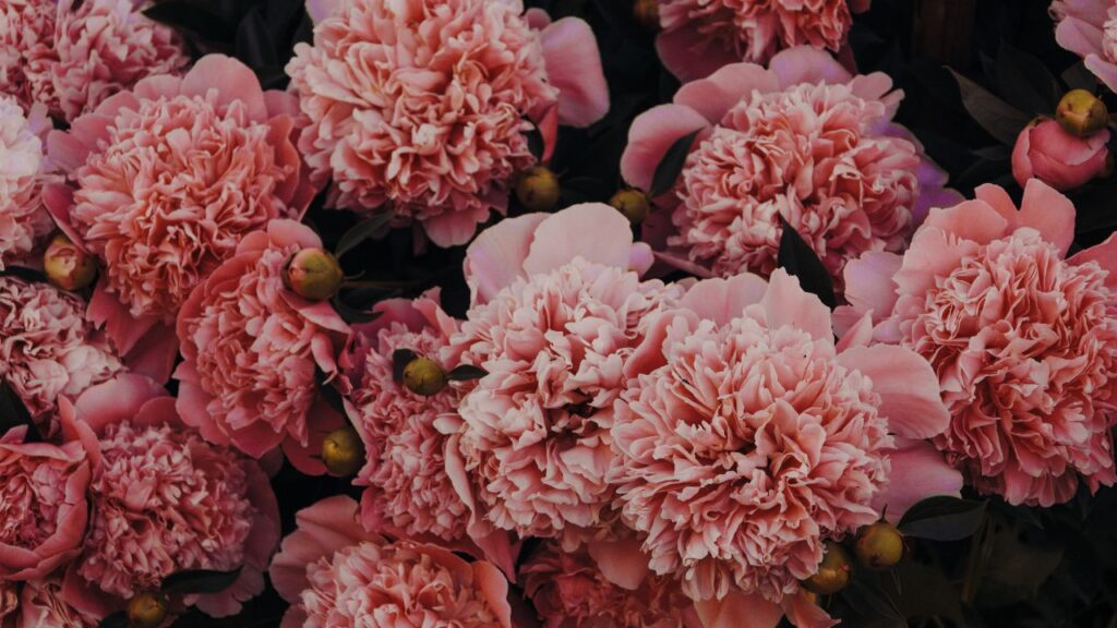Flower Farming