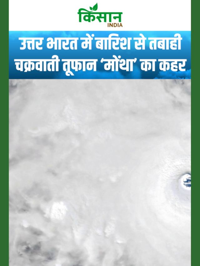 Weather Update: 8 राज्यों में मूसलाधार बारिश, IMD ने जारी की खतरे की चेतावनी