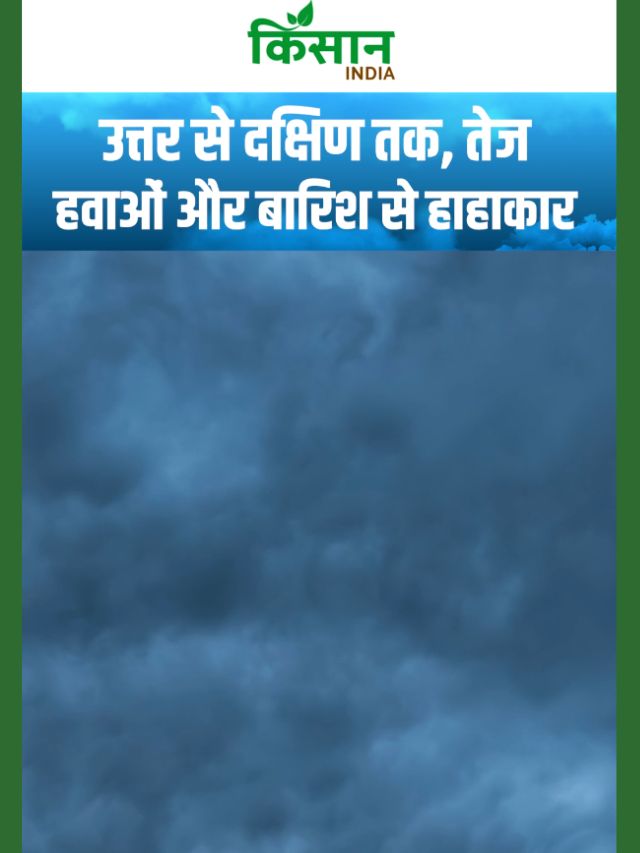 चक्रवात मोंथा का कहर! अगले कुछ दिनों तक पूरे देश में मौसम बदलेगा