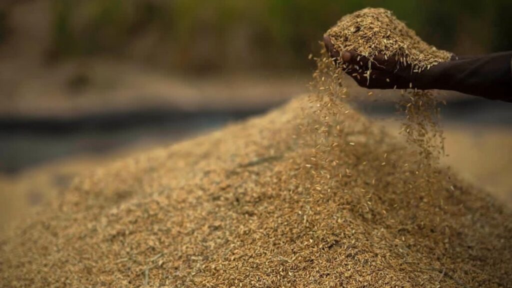 De-oiled Rice Bran