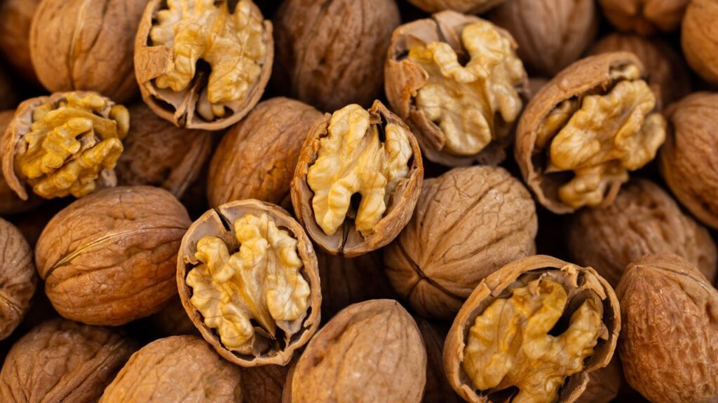 Walnut Benefits: अखरोट का सेवन दिल और दिमाग दोनों के लिए बेहद फायदेमंद है. यह कोलेस्ट्रॉल कम करता है, हड्डियों को मजबूत बनाता है और याददाश्त को तेज करता है. रोजाना 2-3 अखरोट खाना शरीर को अंदर से मजबूत बनाता है. Walnut Benefits: अखरोट का सेवन दिल और दिमाग दोनों के लिए बेहद फायदेमंद है. यह कोलेस्ट्रॉल कम करता है, हड्डियों को मजबूत बनाता है और याददाश्त को तेज करता है. रोजाना 2-3 अखरोट खाना शरीर को अंदर से मजबूत बनाता है.