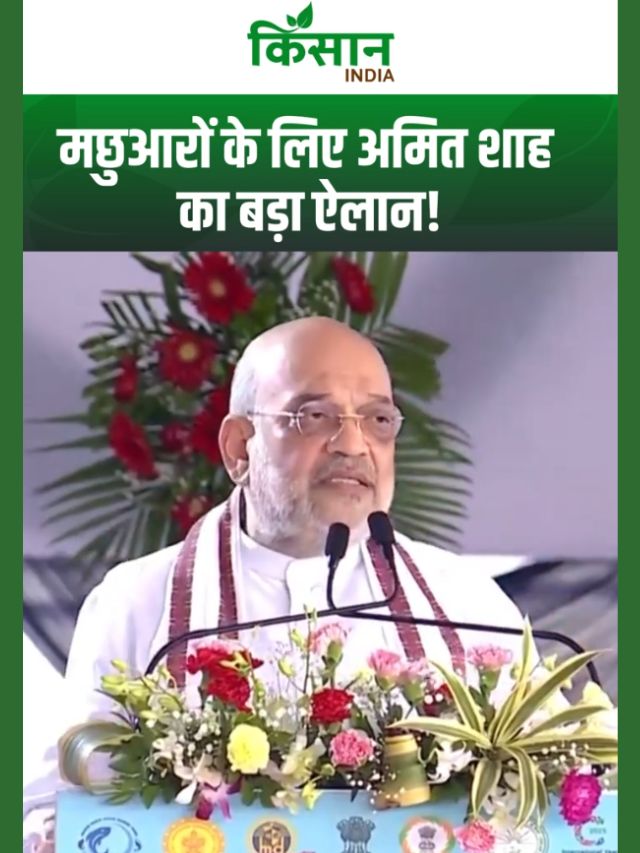 Fish Farming: मछुआरों के लिए Amit Shah करने वाले हैं कुछ बड़ा, जिससे बढ़ेगी आमदनी